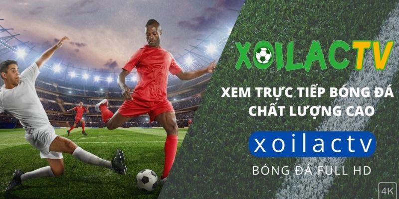 XOILAC TV Xem bóng đá trực tiếp chất lượng HD